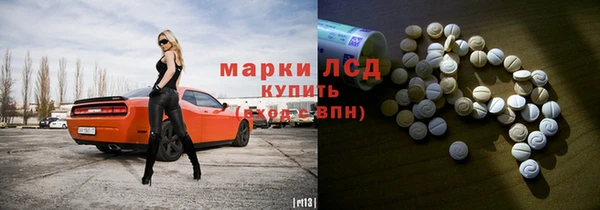 хмурый Зеленокумск